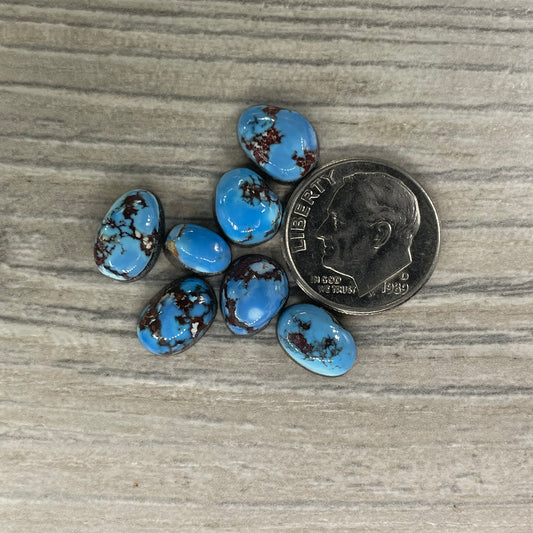 Golden Hill Minis