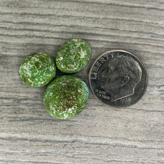 Sonoran