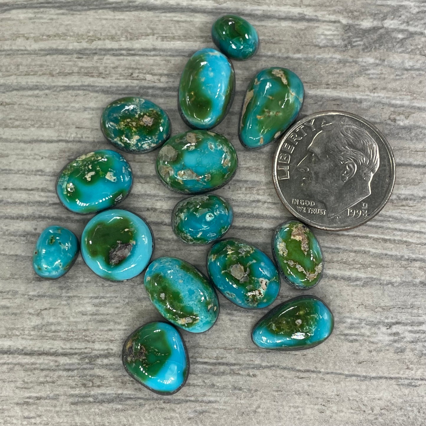 Sonoran Mountain Minis