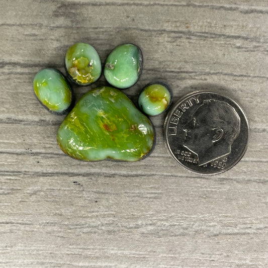Palomino Paw