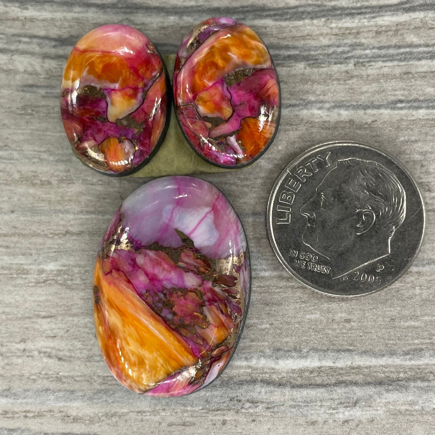 Starburst Spiny Oyster