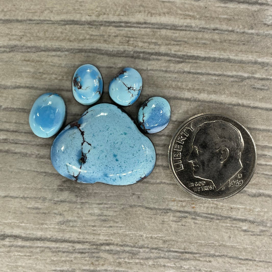 Golden Hill Paw
