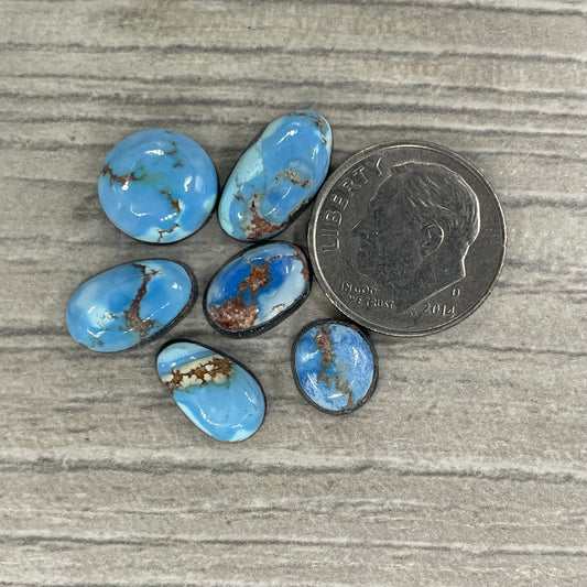 Golden Hill Minis
