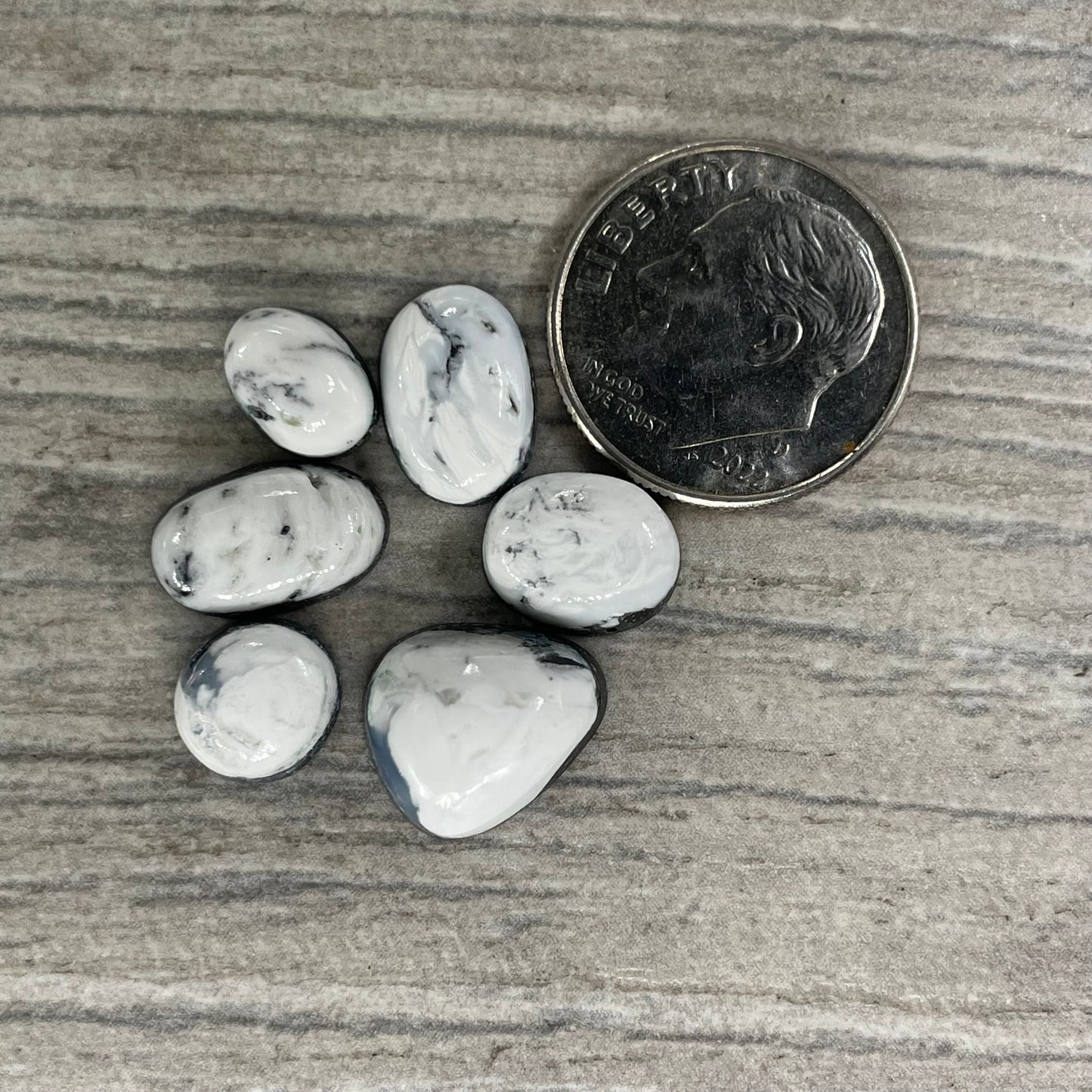 White Buffalo Minis
