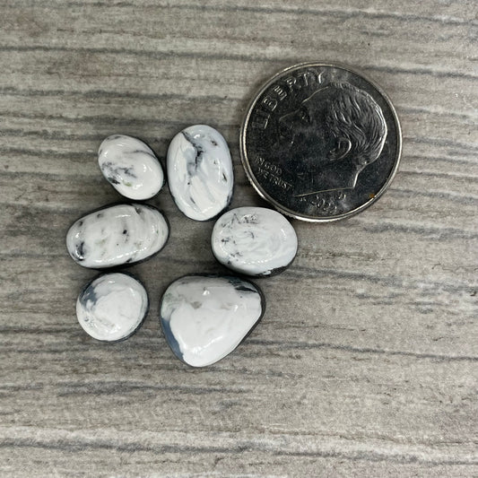 White Buffalo Minis