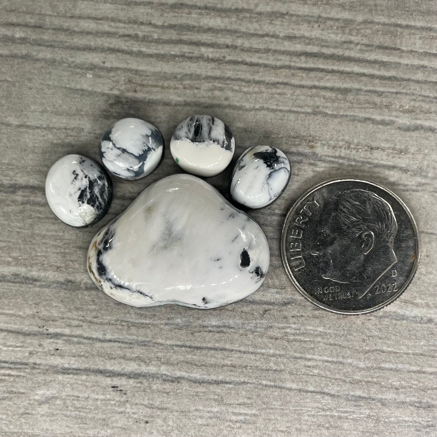White Buffalo Paw