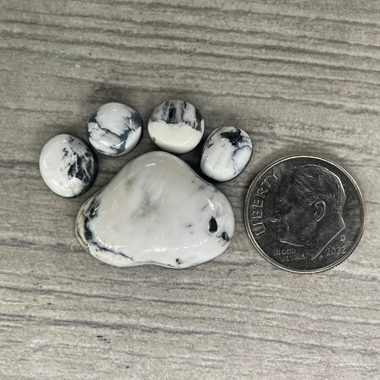 White Buffalo Paw