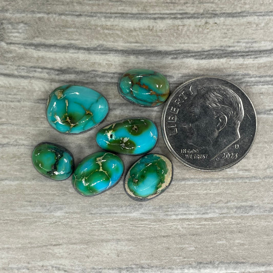 Sonoran Mountain Minis