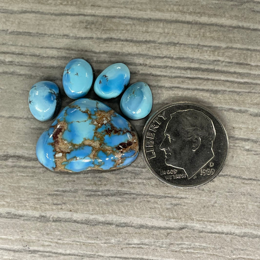 Golden Hill Paw