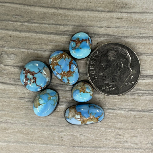 Golden Hill Minis