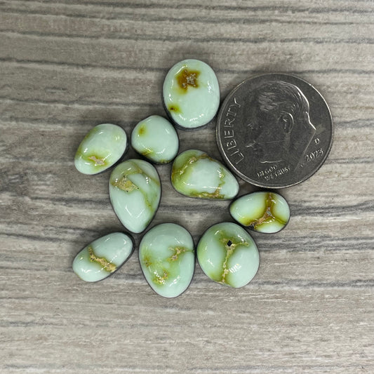 Palomino Minis