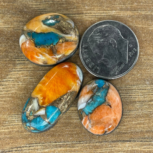 Orange Spiny Turquoise