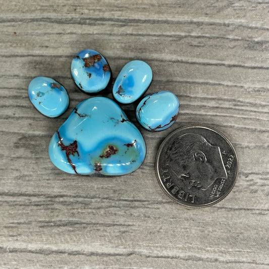 Golden Hill Paw