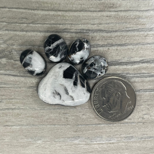 White Buffalo Paw
