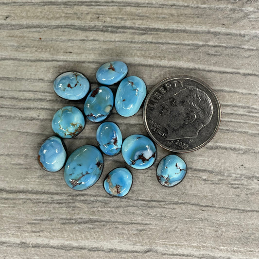 Golden Hill Minis