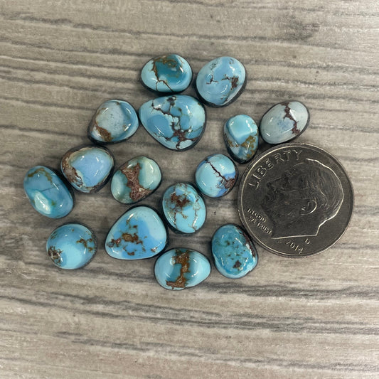 Golden Hill Minis