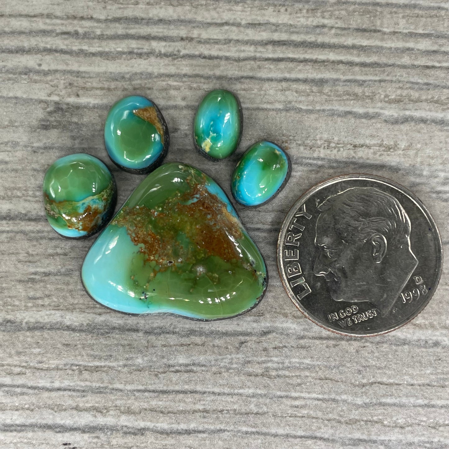 Sonoran Mountain Paw