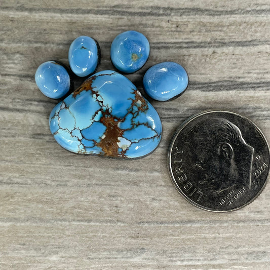 Golden Hill Paw