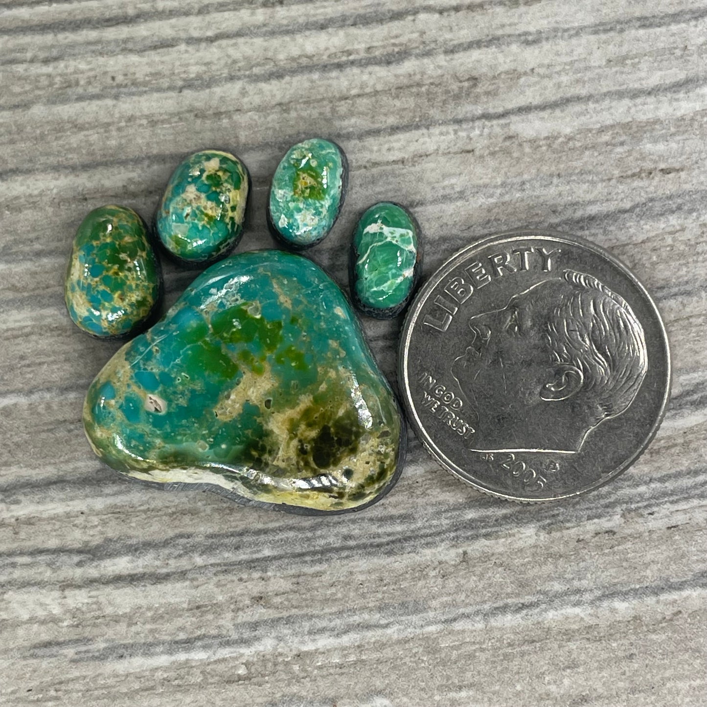 Sonoran Mountain Paw