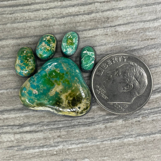 Sonoran Mountain Paw