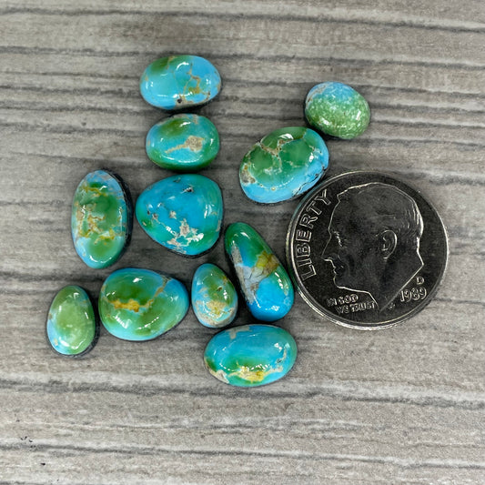 Sierra Bella Minis