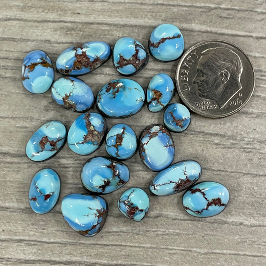 Golden Hill Minis