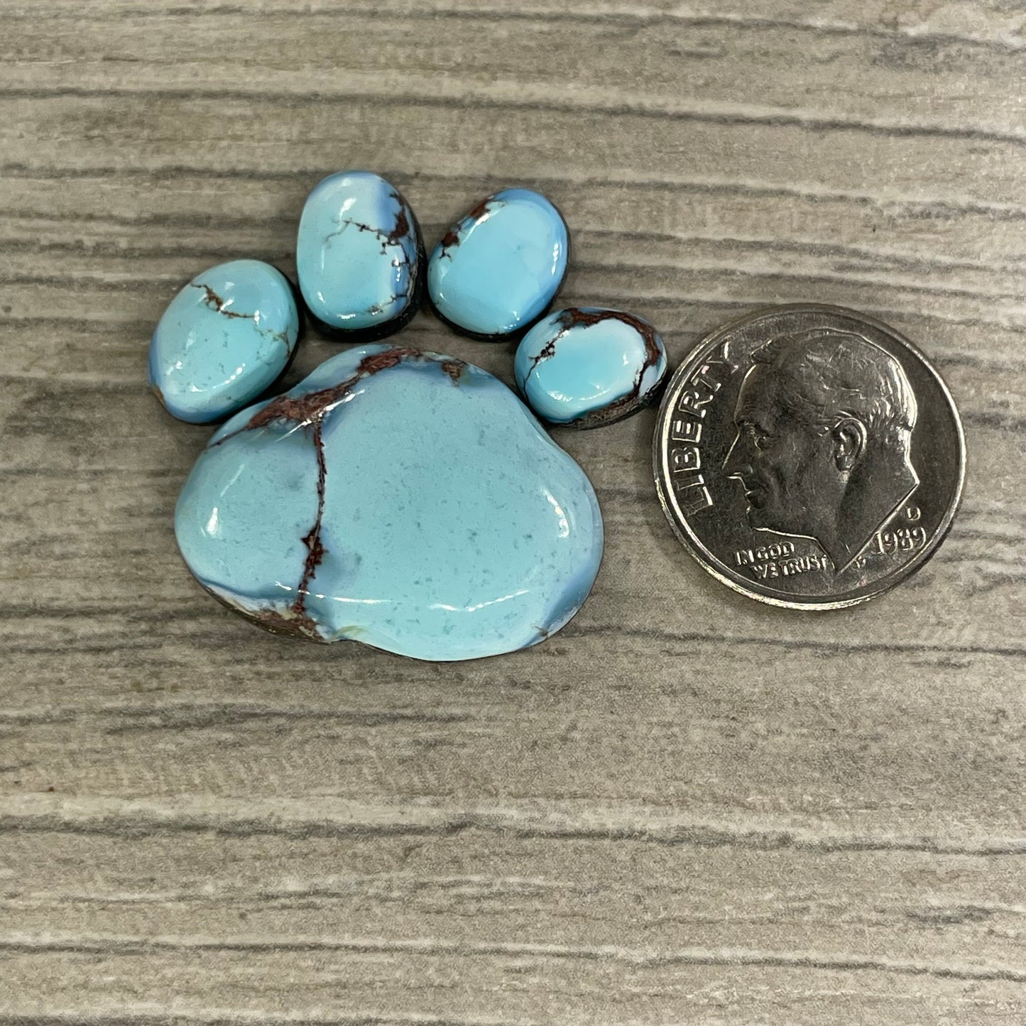 Golden Hill Paw