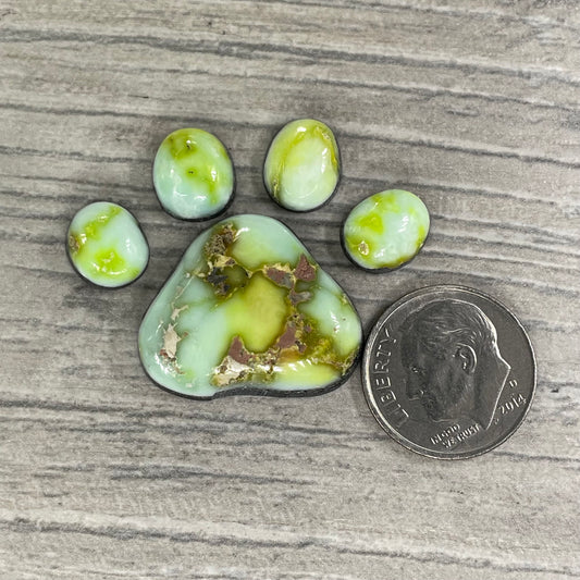 Palomino Paw Set