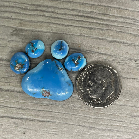 Golden Hill Paw