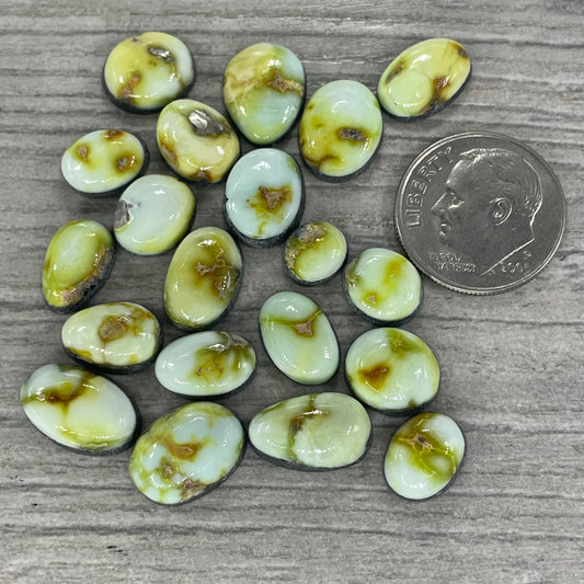 Palomino Minis