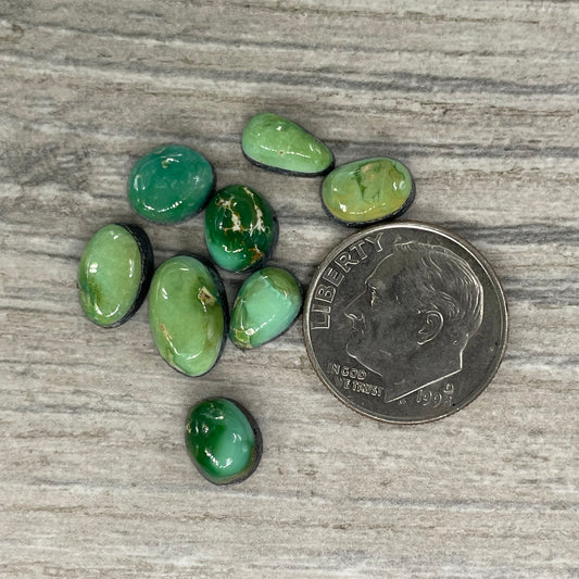 Verde Valley Minis