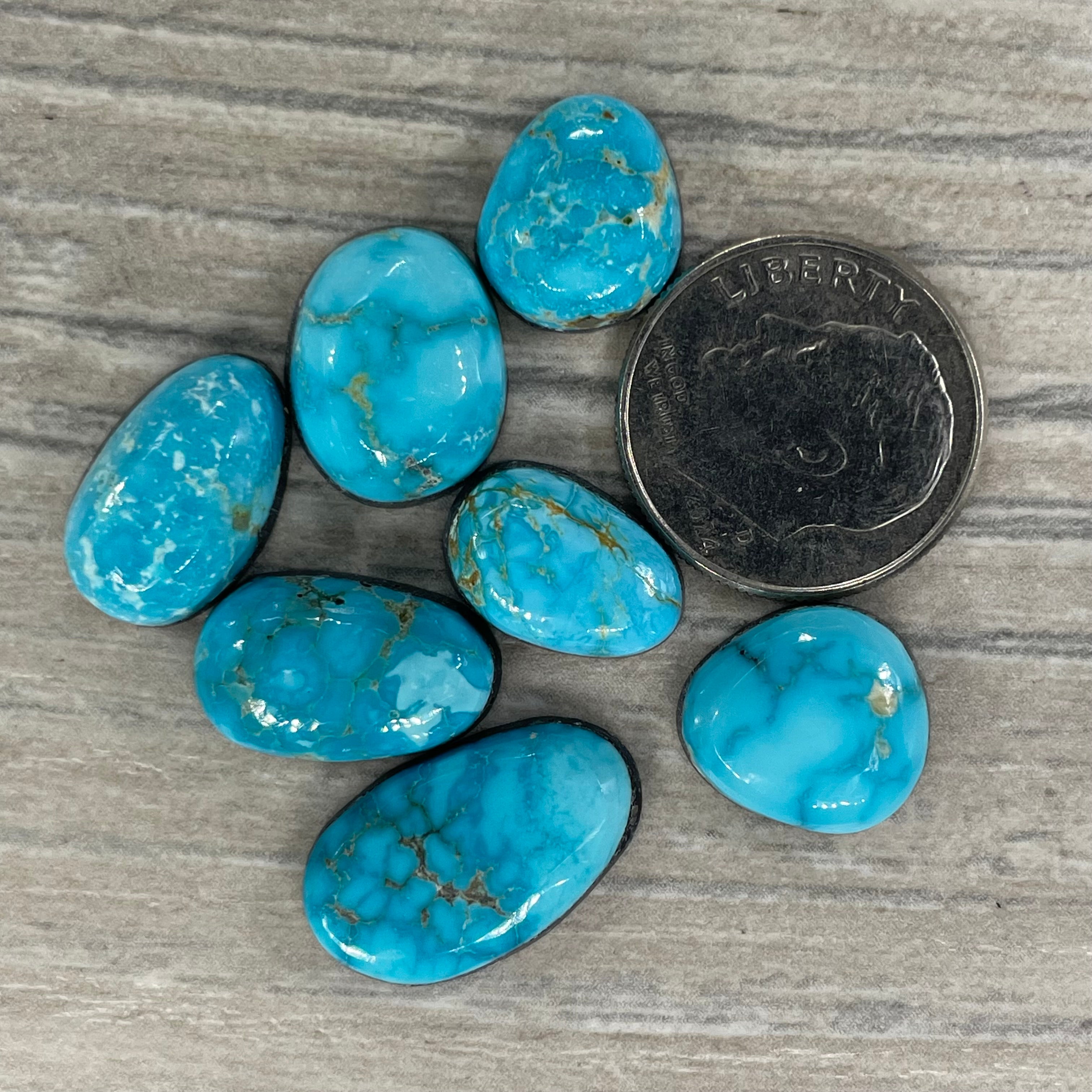 Sonoran – Peterson Turquoise