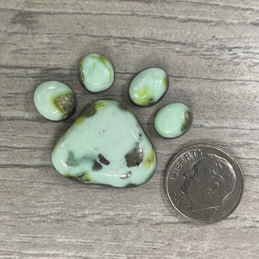 Palomino Paw Set
