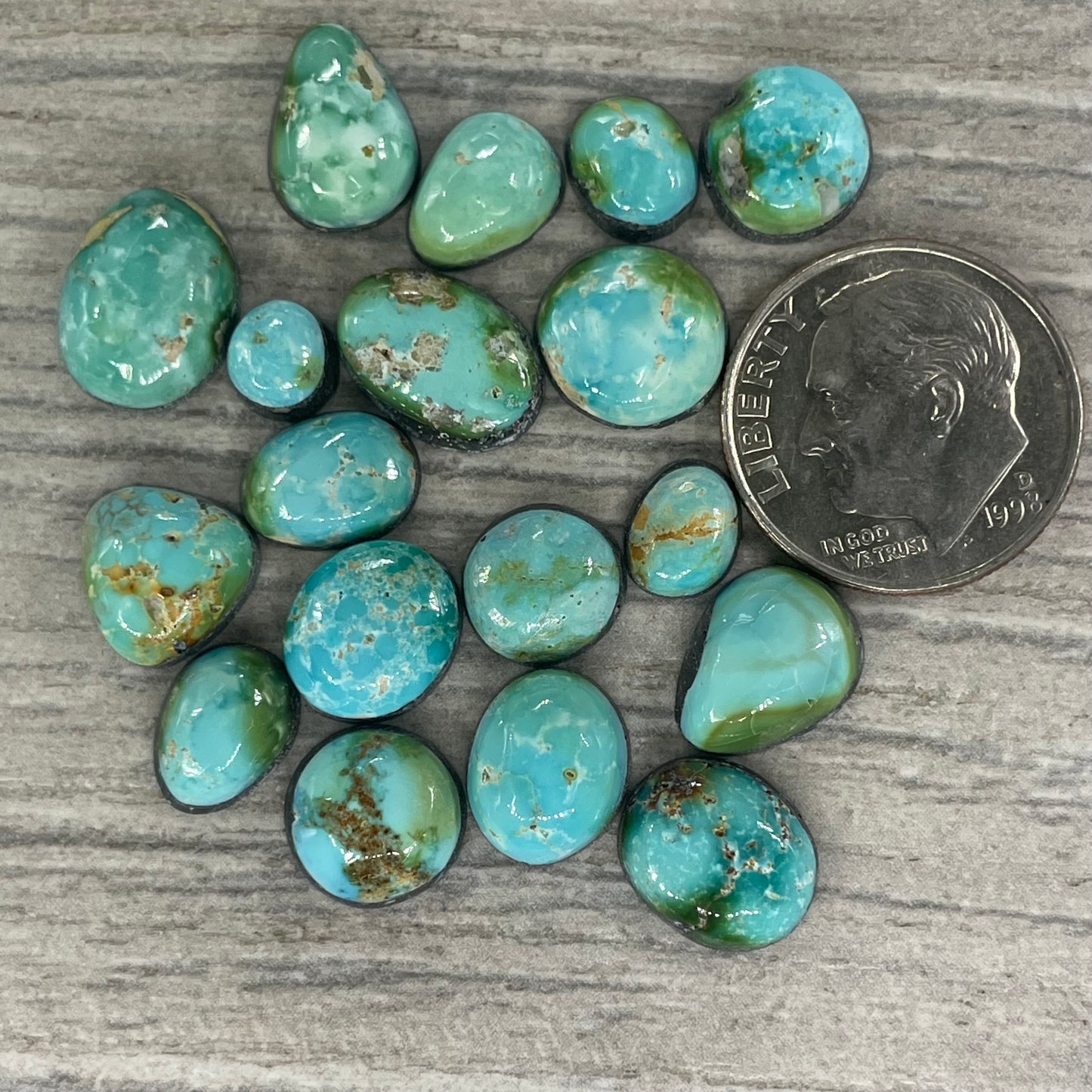 Sonoran Mountain Minis