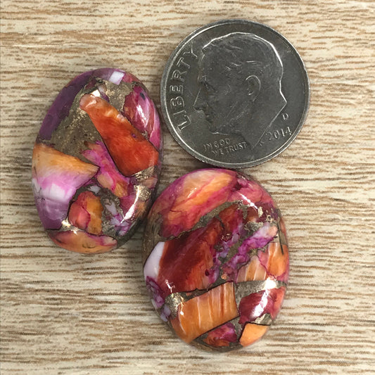 Starburst Spiny Oyster