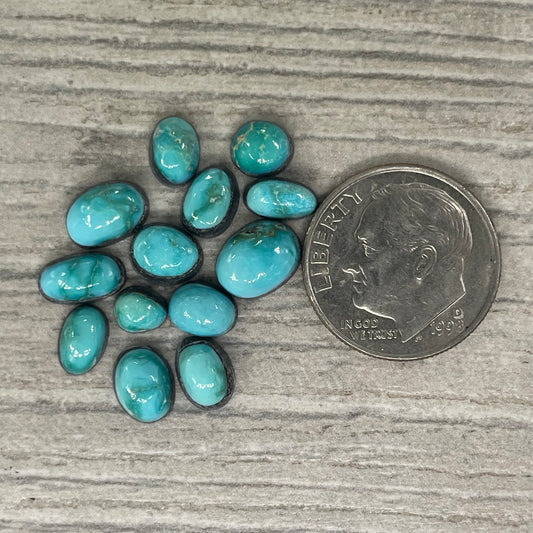 Verde Valley Minis