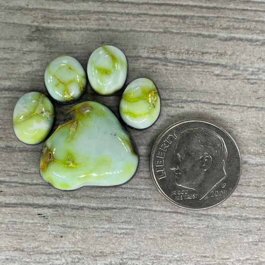 Palomino Paw Set