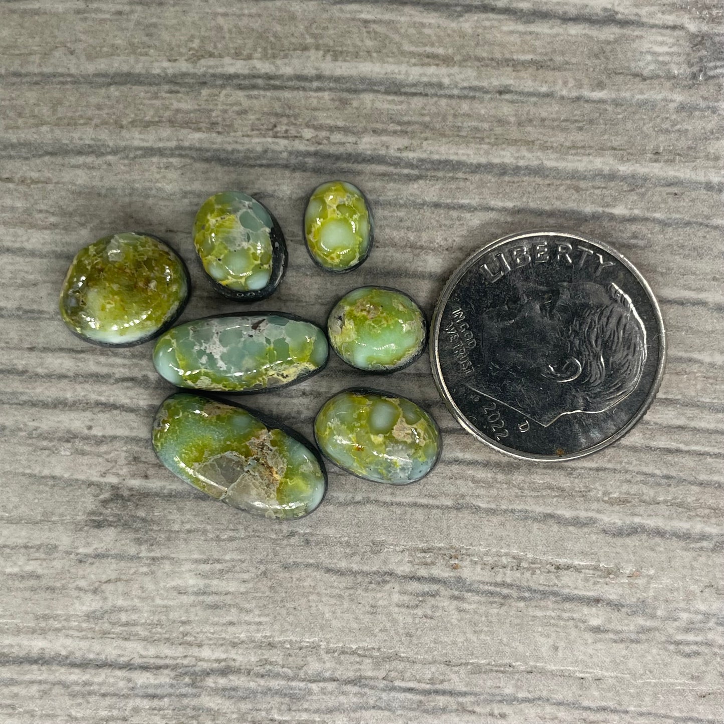 Palomino Minis