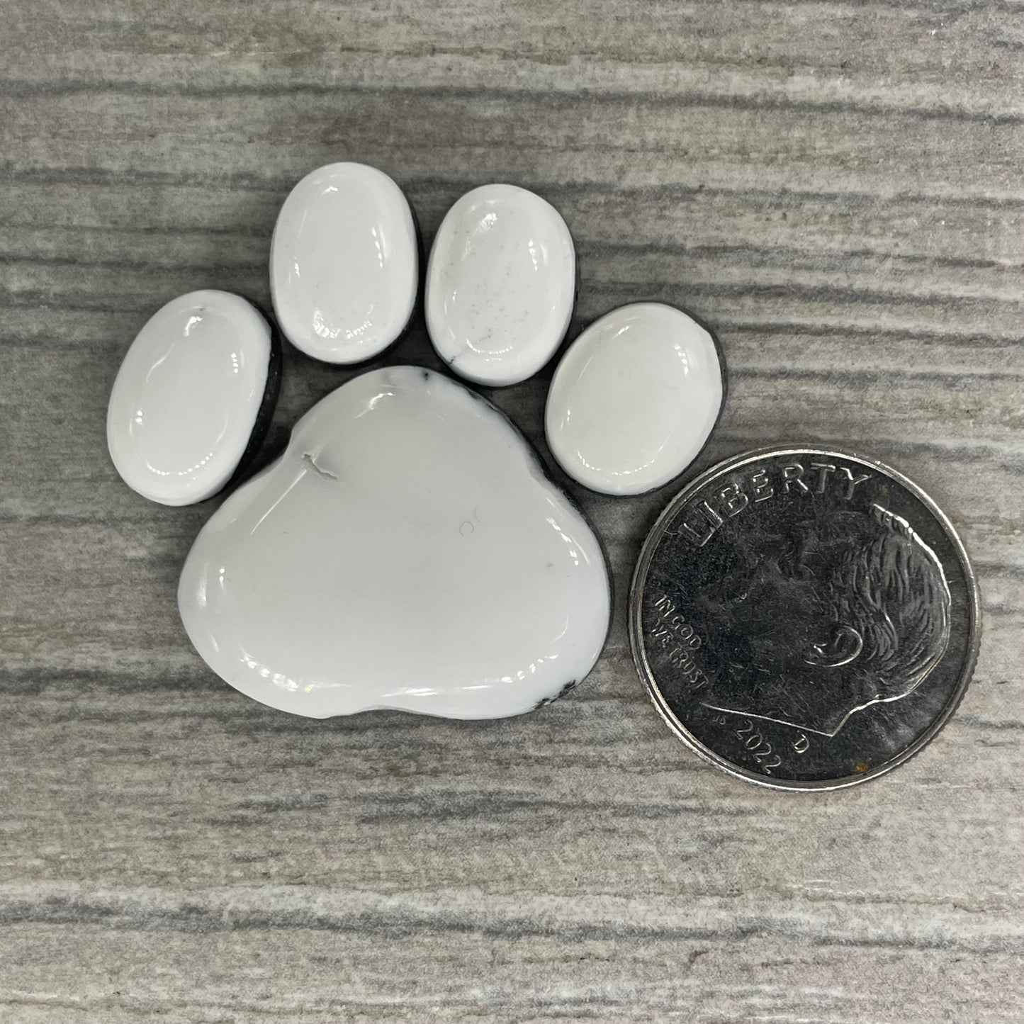 White Buffalo Paw