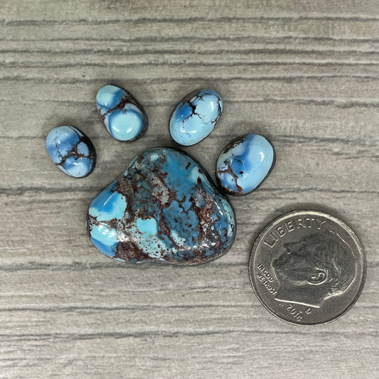 Golden Hill Paw