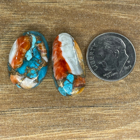 Orange Spiny Turquoise