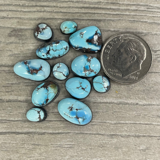 Golden Hill Minis