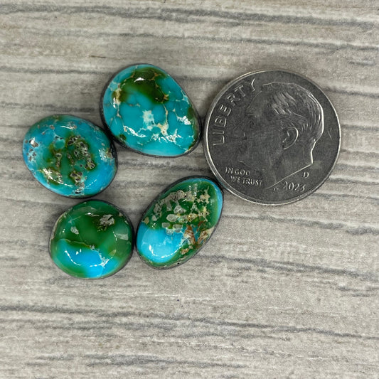 Sonoran Mountain Minis