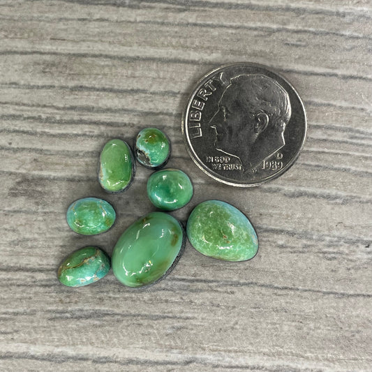 Sierra Bella Minis