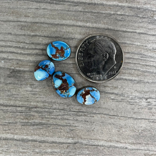 Golden Hill Minis