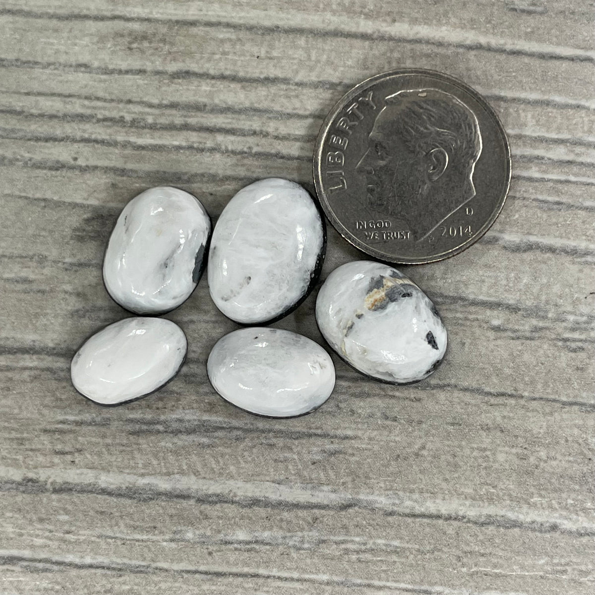 White Buffalo Minis