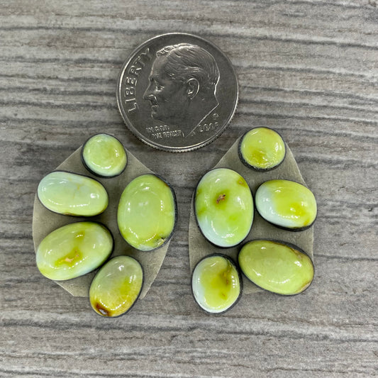 Palomino Earring Set
