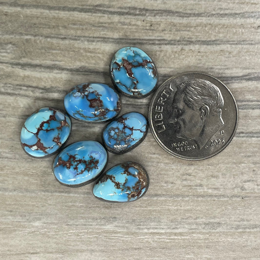 Golden Hill Minis