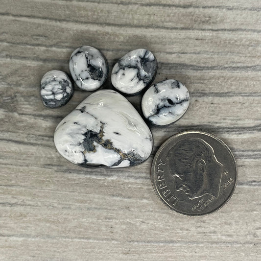 White Buffalo Paw