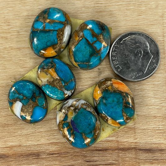 Orange Spiny Turquoise